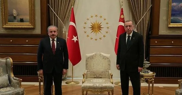 Başkan Erdoğan TBMM Başkanı Şentop’u kabul etti