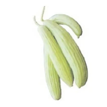 Kemiklere acur gücü