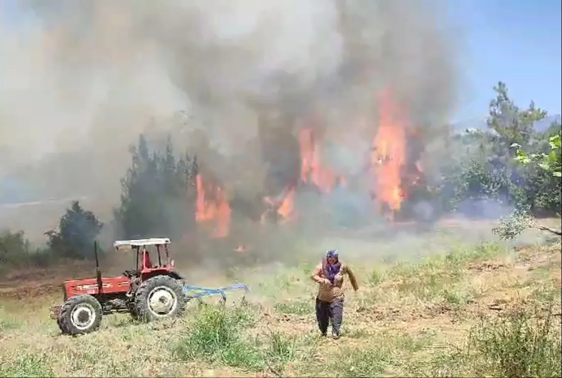 Bir anız yangını daha!