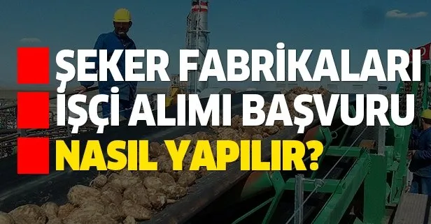 Türkiye Şeker Fabrikaları işçi alımı başvurusu nereden yapılır? İşçi alımı başvuru şartları nelerdir?