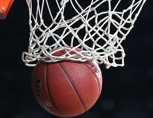 Darüşşafaka küme düştü