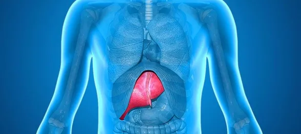Bir fincan kahvenin karaciğerde hatırı var