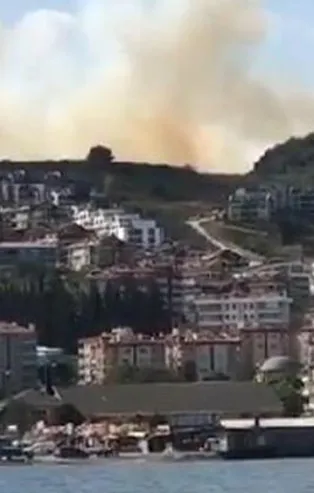 Son dakika:  Bursa'da orman yangını