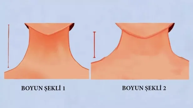 boyun-seklinize-gore-kisiliginiz-ortaya-cikiyor-meger-kisa-boyunlu-olanlar-1691849837812.jpeg Meğer kısa boyunlu olanlar... Boyun şeklinize göre kişiliğiniz ortaya çıkıyor!-6