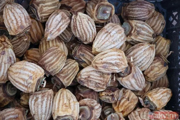 Cennet hurmasında yaş olanın fiyatı 6 kuru olanın fiyatı 50 TL! Almanlar kuru Ruslar yaş tercih ediyor - 19