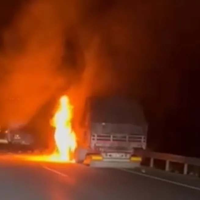 Erzincan’ın Üzümlü ilçesinde seyir halindeki TIR’da çıkan yangın paniğe neden oldu.