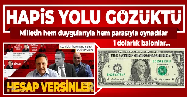 "Dolar uçacak" diyerek vatandaşı aldatıp piyasa spekülatörlüğüne soyunan sosyal medya profesörlerine hapis yolu göründü