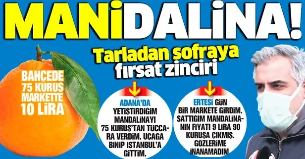 Tarladan sofraya uzanan fırsat zinciri! Mandalina bahçede 75 kuruş markette 10 lira