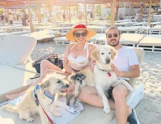 Reklam aşıkları