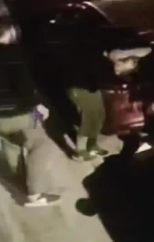 İstanbul'da köpeğe tecavüz eden kişi vatandaşlar tarafından dövüldü
