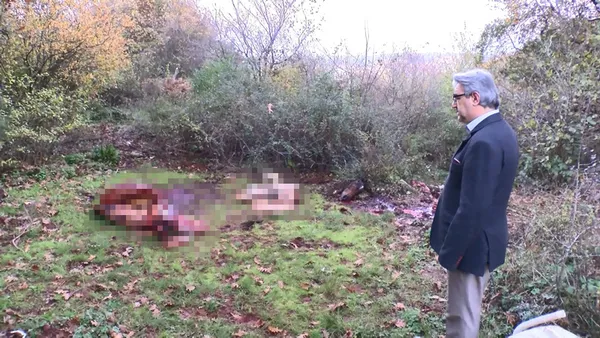 istanbulda-dehset-goruntu-yemek-yerken-tekrar-dusunun-sariyerde-yol-kenarinda-kesilmis-at-parcalari-bulundu-1637658729823.jpg İstanbul'da dehşet görüntü! Yemek yerken tekrar düşünün: Sarıyer'de yol kenarında kesilmiş at parçaları bulundu-3