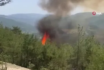 Sinop Dikmen'den orman yangını!