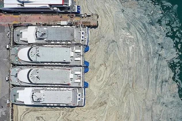 Çevre ve Şehircilik Bakanlığından 7 ile genelge! 8 Haziran'da en büyük deniz temizliği seferberliği başlatılacak