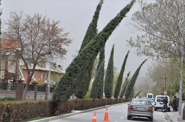 HAVA DURUMU | Saatte 60 km! Uçacağız! Meteoroloji o bölgeleri uyardı | 4 Temmuz 2022 hava durumu