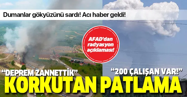 Son dakika: Sakarya'da havai fişek fabrikasında patlama!