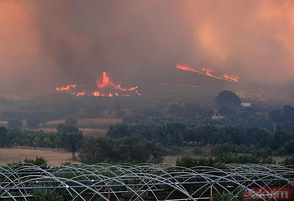 Yangından etkilenen vatandaşlar yaşadıkları dehşeti anlattı: Bir eşyam bile kalmadı! | Devletin ve milletin ellerine sağlık! - 5