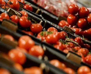 Domates kemik erimesini önlüyor