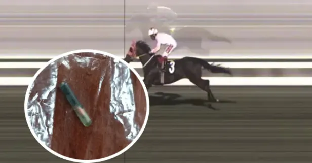 Dörtnala rezalet: CHP'li belediyenin vatandaşa yedirdiği at şampiyon Smart Latch çıktı