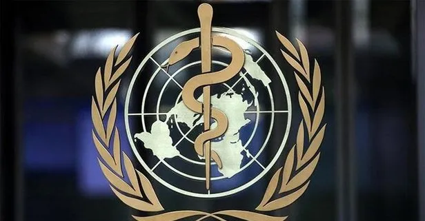 DSÖ küresel sağlık sorunları için vakıf kurdu