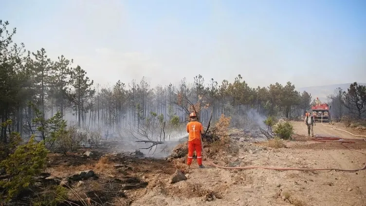 Eskişehir'de ormanlık alanda yangın çıktı