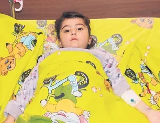 Canımız ciğerimiz