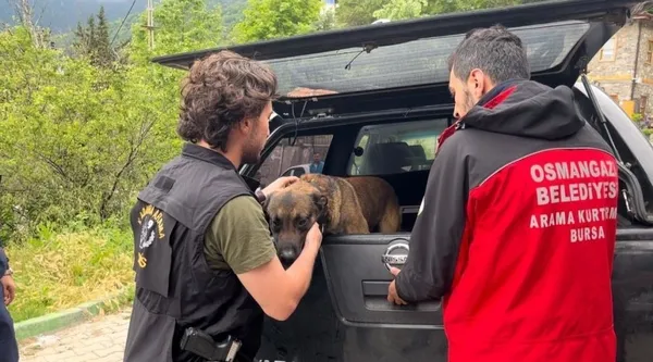 1686653907135.jpeg Uludağ’da 12 gün önce kaybolan adama ulaşılmaya çalışılıyor-2