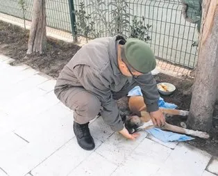 Yaralı köpeğe jandarma şefkati