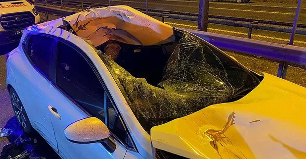 TEM Otoyolu'nda feci kaza! Otomobilin çarptığı yaya öldü