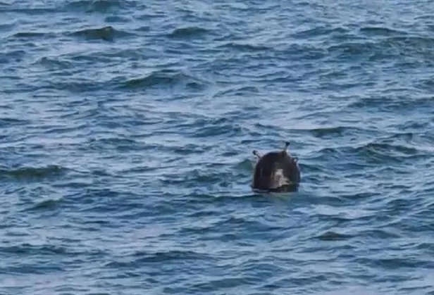 Son dakika... Boğaz'da serseri mayın alarmı! 'Hayalet'ler görevde! SAS Timleri teyakkuzda-12