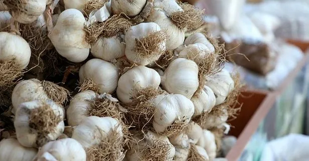 Sevgili sarımsak
