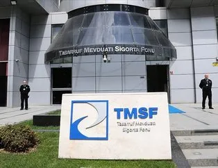 TMSF, o şirketi satışa çıkardı