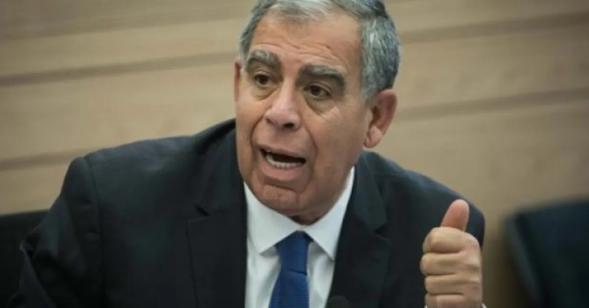 Mickey levi best sale