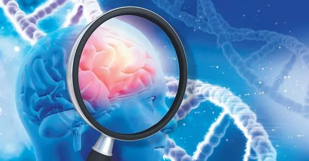 Koku demek çok yemek