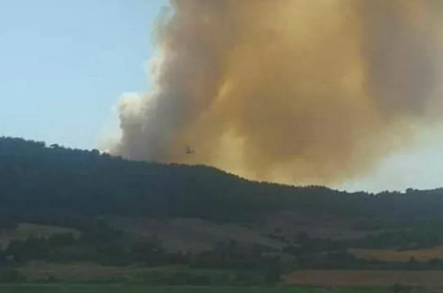 Son dakika: Adana'da tarlada başlayıp ormanlık alana sıçrayan yangına müdahale ediliyor