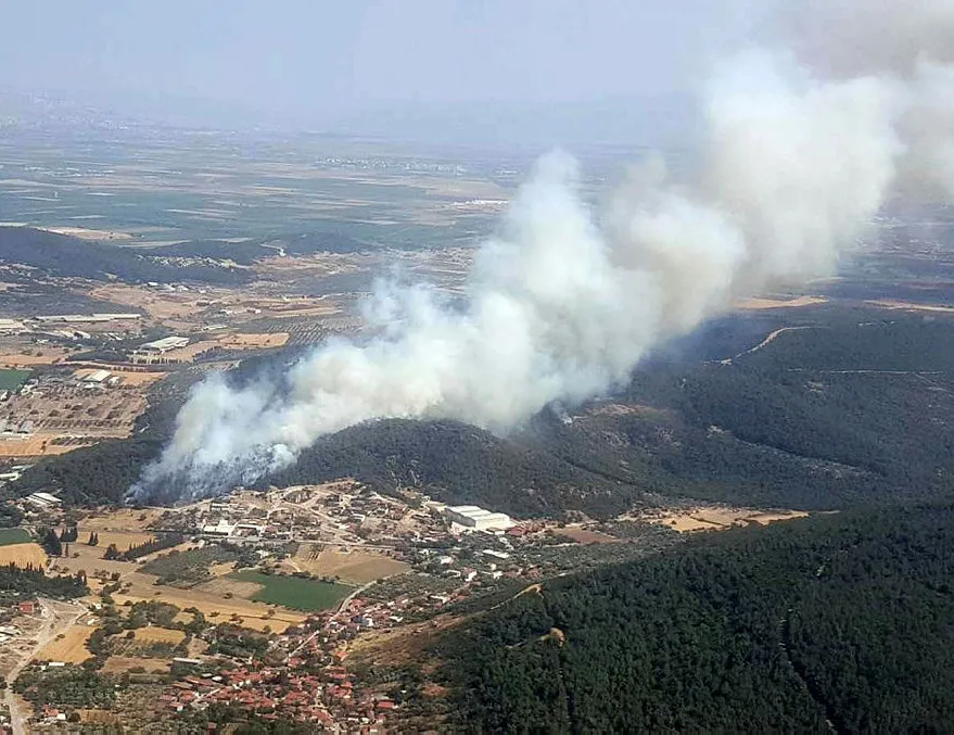 İzmir’de ormanlık alanda yangın