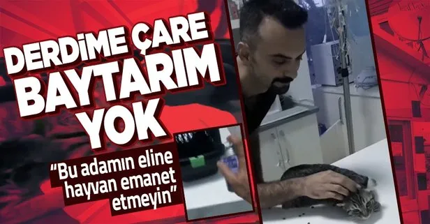 Hayvanseverlerden veterinere sert tepki