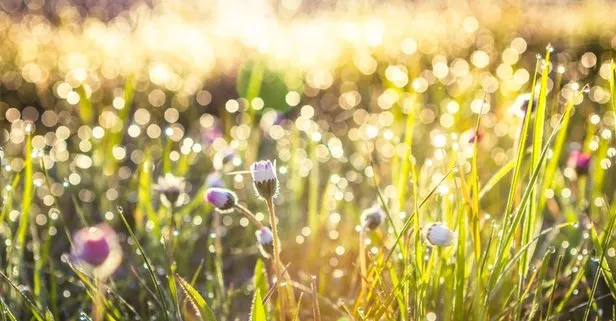 birinci cemre ne zaman nereye dusecek