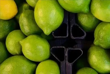 Bahaneleri kalmayacak