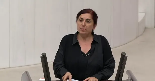 DEM Parti'li Sevilay Çelenk Paris'teki LGBT terörüne 'performans' dedi hükümeti hedef aldı!