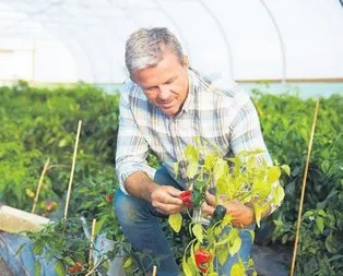 Üreticilerin borcuna erteleme geldi