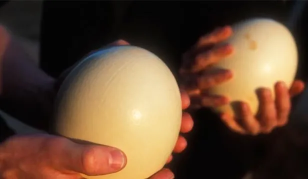 Paraya para demiyor... Böyle kar başka işte görmediniz! Hobi olarak başlamıştı! Tanesini 9000 TL'den satıyor!-2