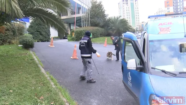 Bağcılar'da başıboş köpek saldırısı! Bacağından yakaladı - 7