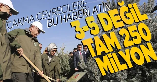 81 ilde 250 milyondan fazla fidan toprakla buluşacak! Başkan Erdoğan da katılıyor