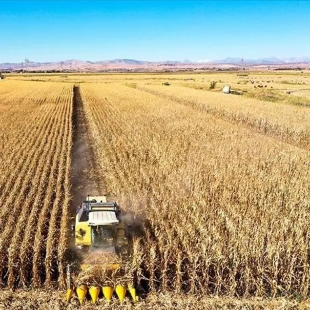 Tarım ve hayvancılıkta genç girişimci hamlesi!