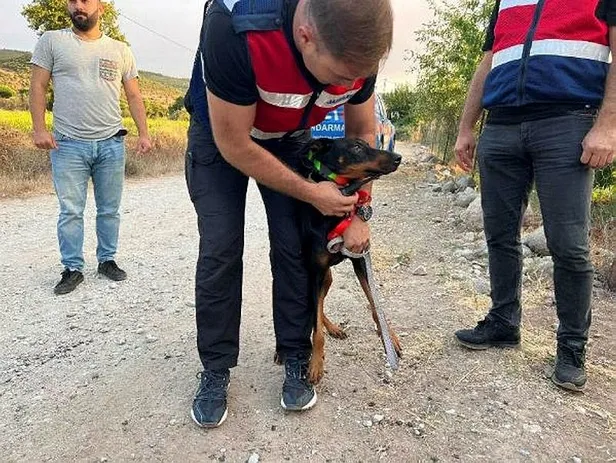 korhan-berzeg-icin-umut-tukendi-gizemli-bir-durum-var-1698392031920.jpeg Korhan Berzeg için umut tükendi! "Gizemli bir durum var"-3