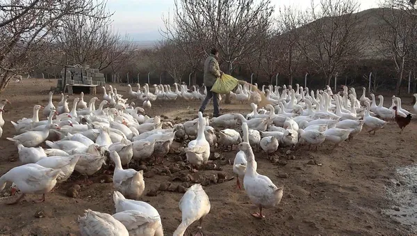 Maliye’den emekli oldu bu işe girdi! Paraya para demiyor-5