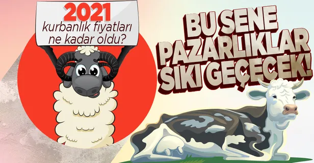 2021 Kurban Bayramı küçükbaş büyükbaş kurbanlık fiyatları ne kadar? İstanbul-Ankara-İzmir dana, koç, koyun fiyatları!