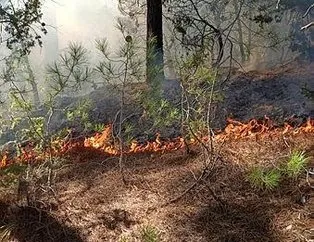 Adana’da 2 ilçede orman yangını