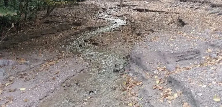 cilgin-kesif-dag-bayir-demeden-geziyor-7-gunde-13-gram-altin-topluyor-1715675101907.jpg Çılgın keşif! Dağ bayır demeden geziyor 7 günde 13 gram altın topluyor-4