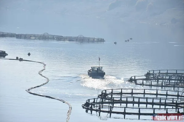 Yıllık kazançları 1 milyar TL! Deniz olmayan şehir Malatya'dan Avrupa ve Rusya'ya somon ihraç ediyorlar - 5
